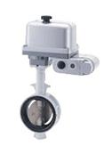 EXS200-10DJU电动蝶阀