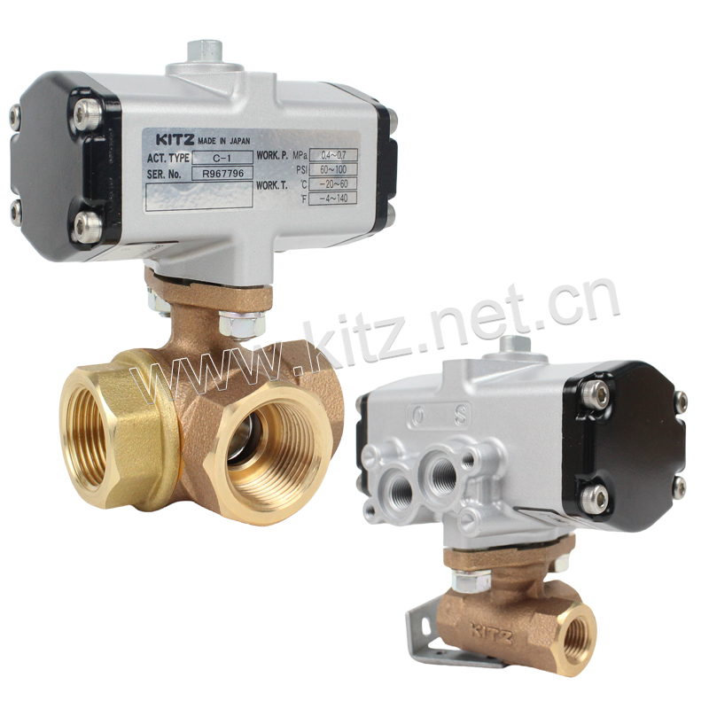 C-TNE DN20